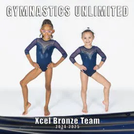 Gymnastics Unlimited, Inc. Picture 7