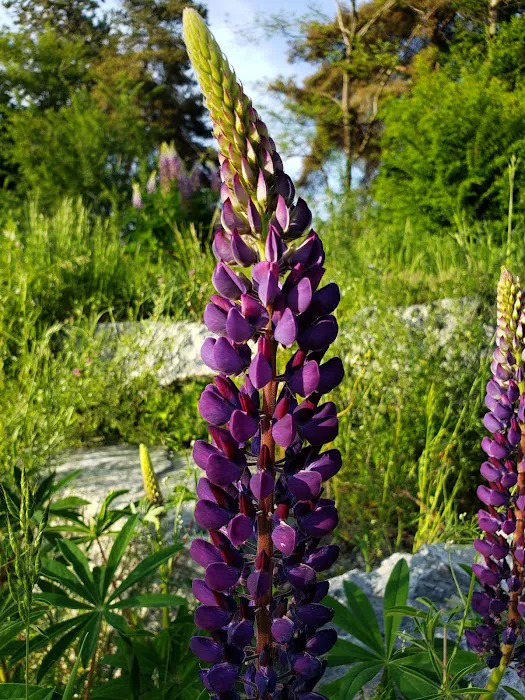 Acuo CrossFit Picture 2