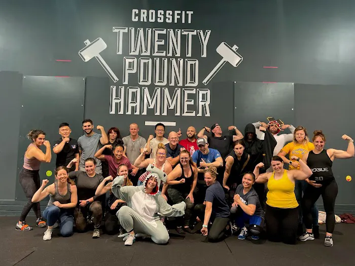 CrossFit Twenty Pound Hammer Picture 4