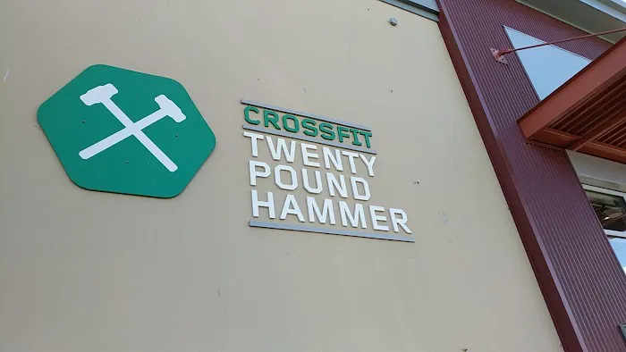CrossFit Twenty Pound Hammer Picture 3