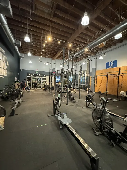 CrossFit Twenty Pound Hammer Picture 6