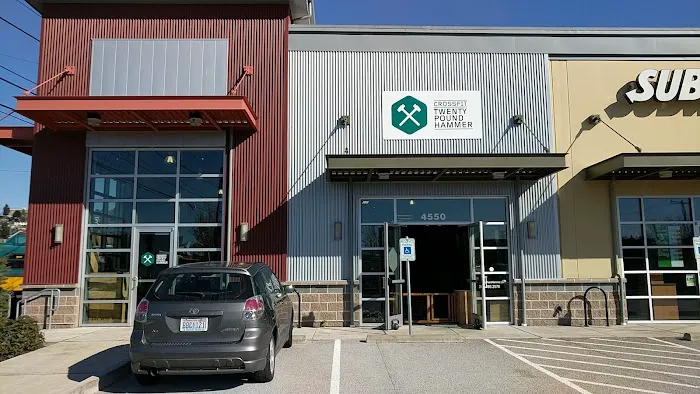 CrossFit Twenty Pound Hammer Picture 9