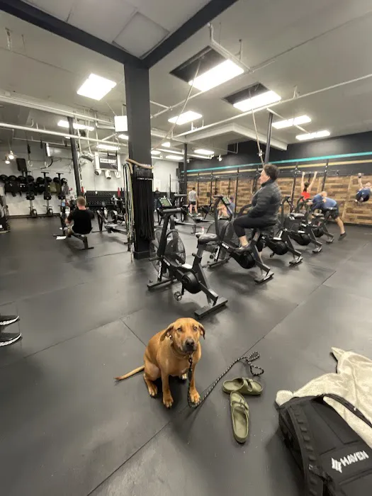 PUSH Box CrossFit Picture 1