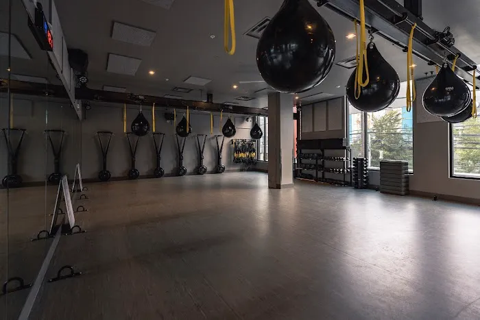 TruFusion Ballard Picture 4