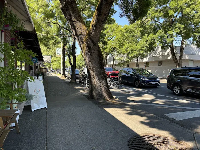 Body & Brain Yoga Tai Chi Picture 7