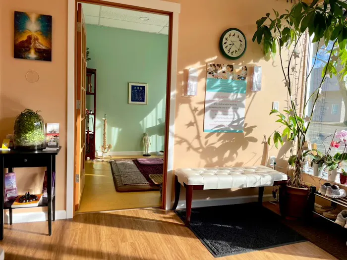 Body & Brain Yoga Tai Chi Picture 3