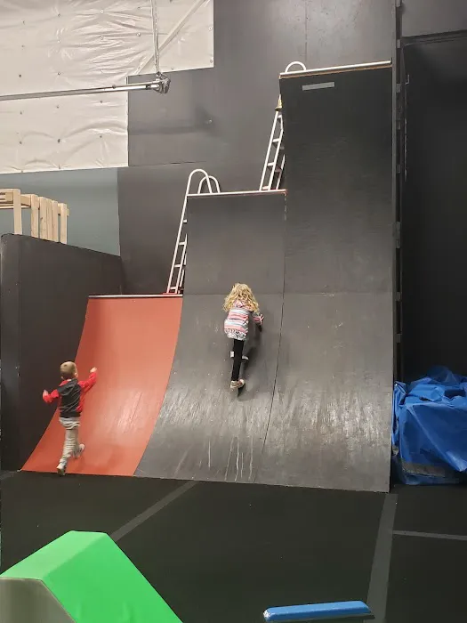 Auburn Gymnastics - Sumner Picture 2