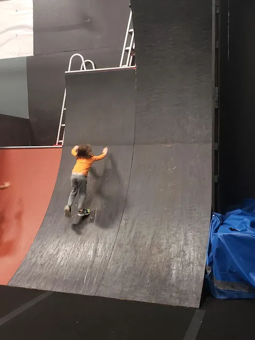 Auburn Gymnastics - Sumner Picture 7