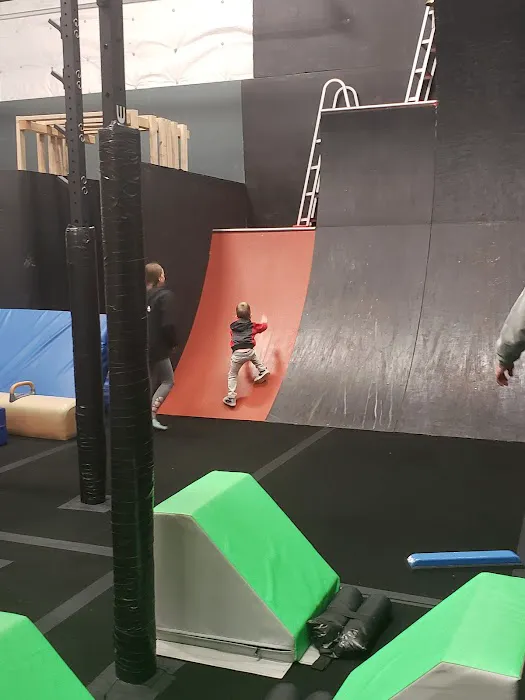 Auburn Gymnastics - Sumner Picture 9