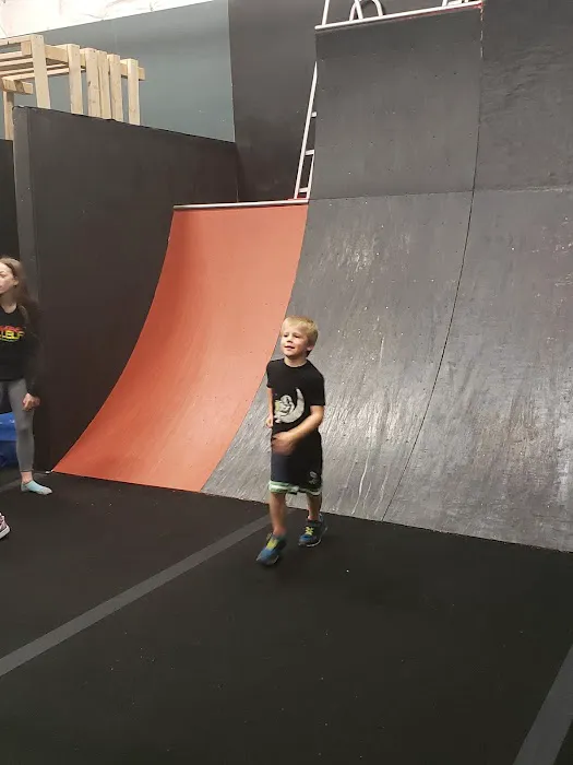 Auburn Gymnastics - Sumner Picture 3