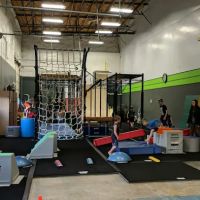 Auburn Gymnastics - Sumner ico