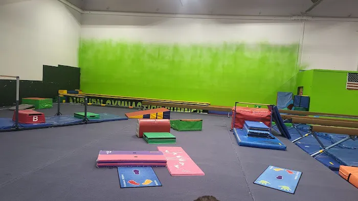 Ascend Gymnastics Sumner Picture 1