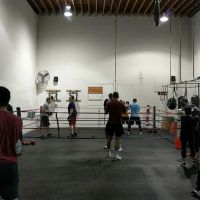Ballard Barbell and Boxing Club ico
