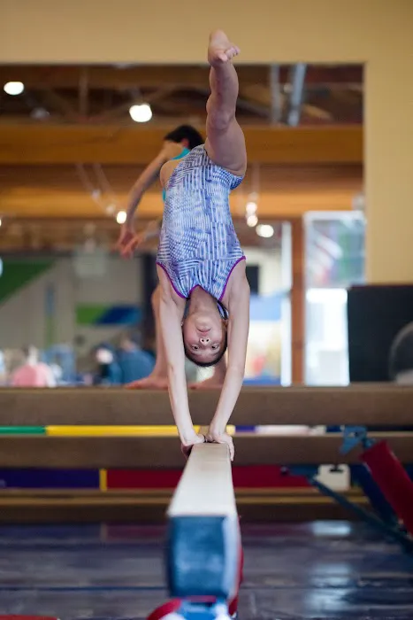 Seattle Gymnastics Academy - Ballard Picture 5