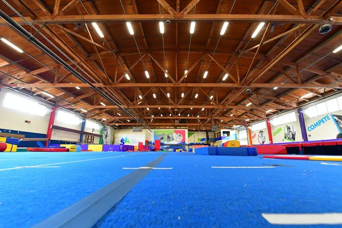 Seattle Gymnastics Academy - Ballard Picture 8