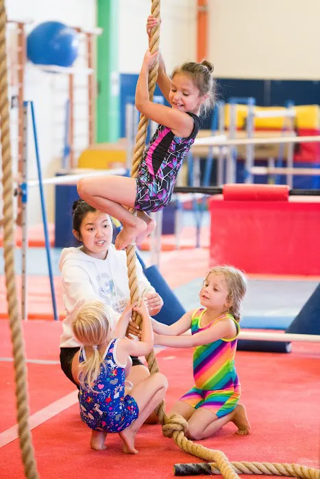 Seattle Gymnastics Academy - Ballard Picture 7