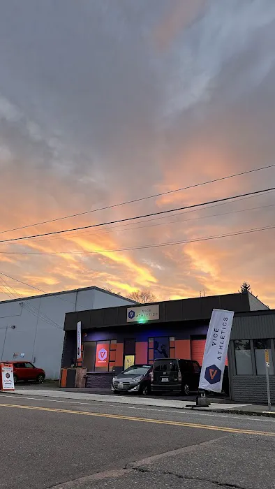 Vice Athletics | Seattle’s Strength & Sports Performance Gym Picture 3