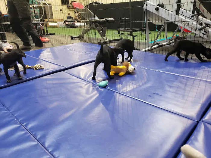 Friends of the Gym Picture 1