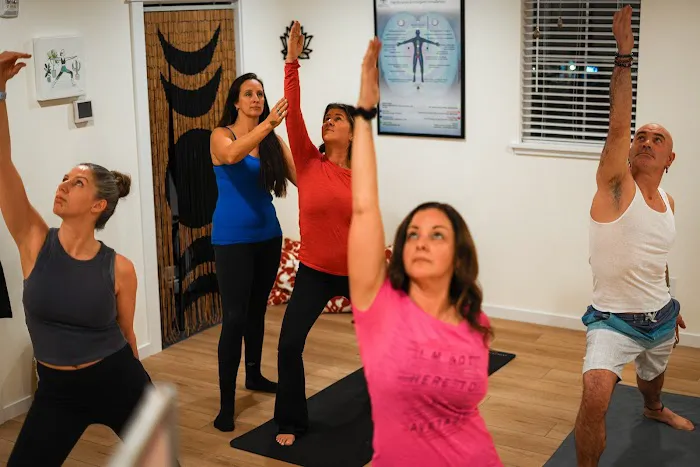 Vita Vibra Wellness Studio Picture 2