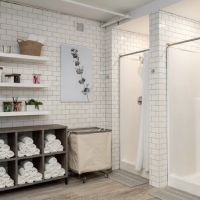 The Cycle Sanctuary ico