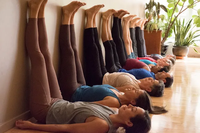 8 Limbs Yoga Centers - Phinney Ridge Picture 5