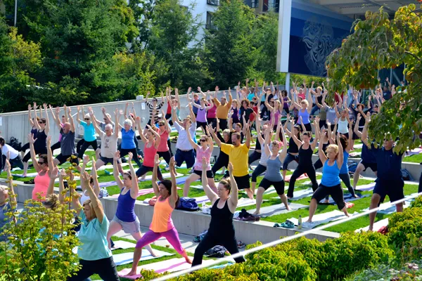 8 Limbs Yoga Centers - Phinney Ridge Picture 6