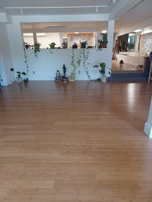 Hatha Yoga Center Picture 1