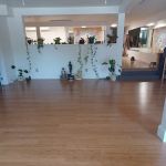 Hatha Yoga Center