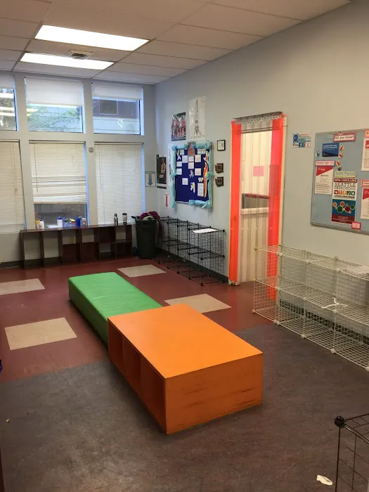 Seattle Gymnastics Academy - Lake City Picture 7