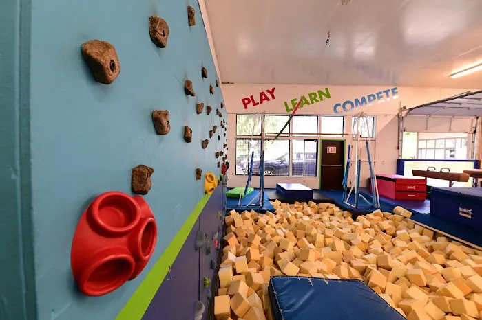 Seattle Gymnastics Academy - Lake City Picture 10