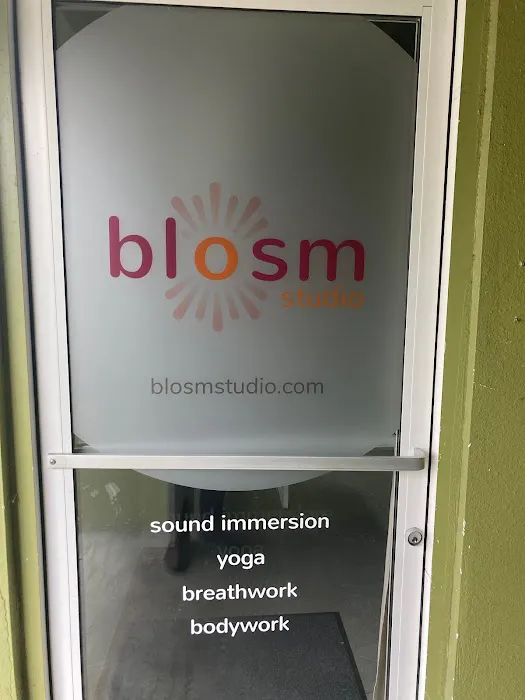blosm studio Picture 4