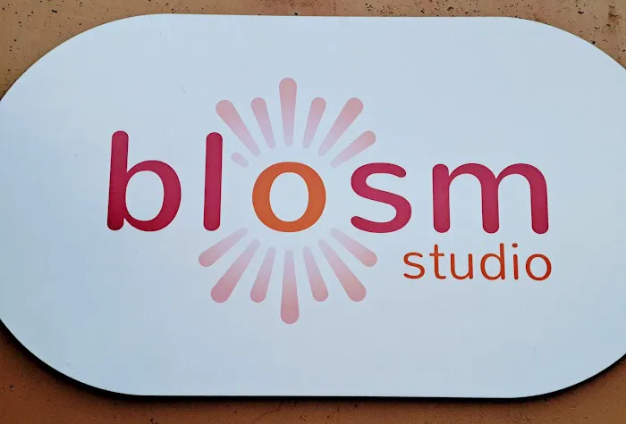 blosm studio Picture 8
