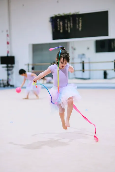 Etude Rhythmic Gymnastics Picture 7