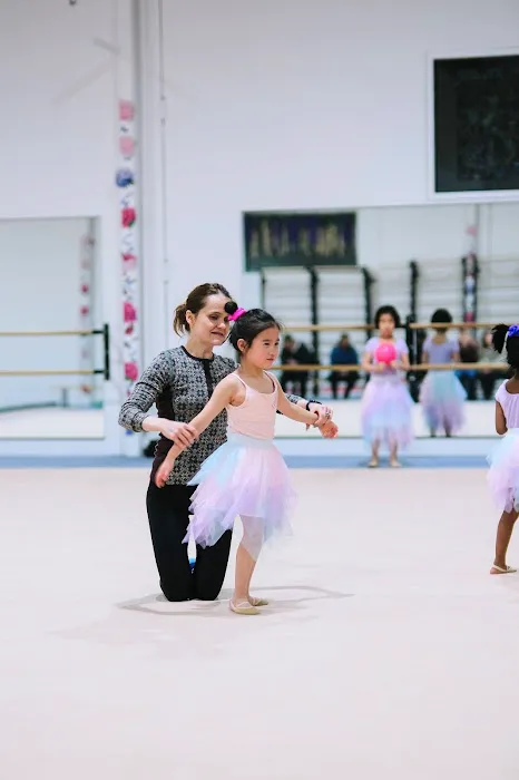 Etude Rhythmic Gymnastics Picture 3