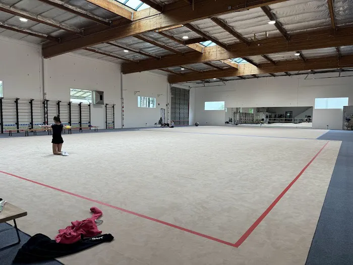 Etude Rhythmic Gymnastics Picture 10