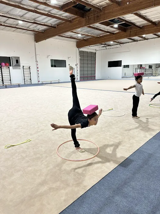 Etude Rhythmic Gymnastics Picture 6