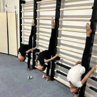 Etude Rhythmic Gymnastics ico