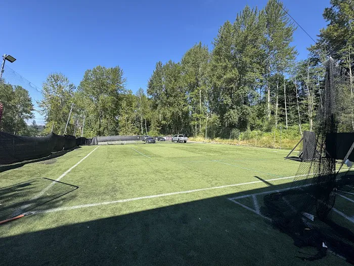 The Natural Ballplayer Picture 9