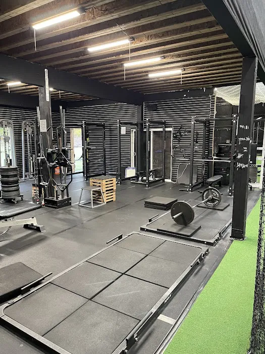 The Natural Ballplayer Picture 10