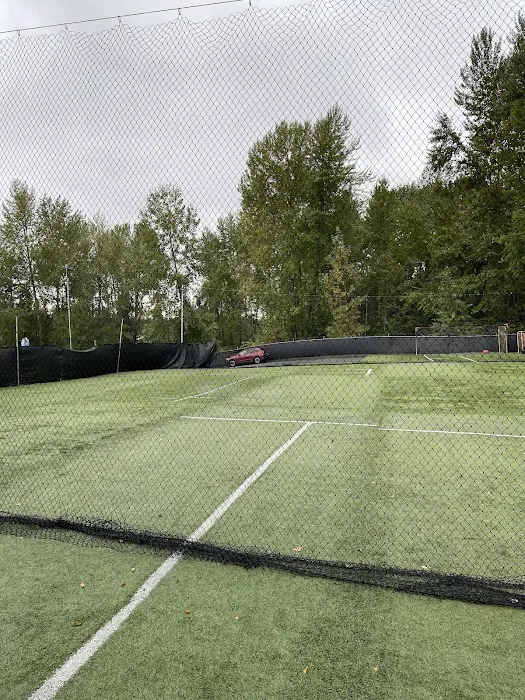 The Natural Ballplayer Picture 1