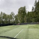 The Natural Ballplayer