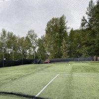 The Natural Ballplayer ico