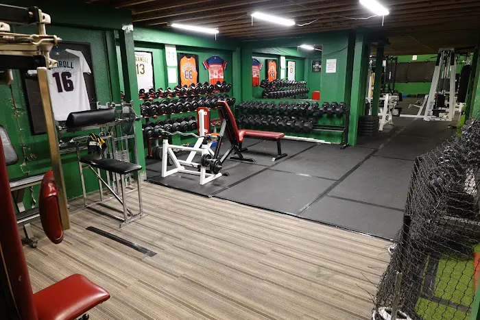 The Natural Ballplayer Picture 2