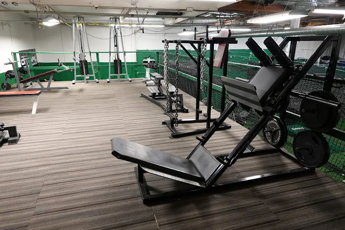 The Natural Ballplayer Picture 4