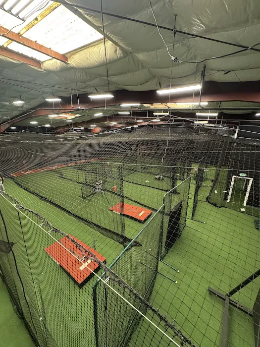 The Natural Ballplayer Picture 8