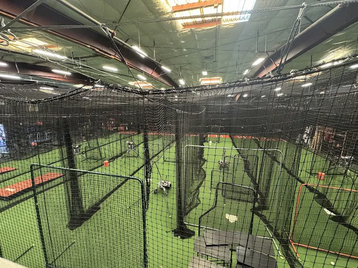 The Natural Ballplayer Picture 6