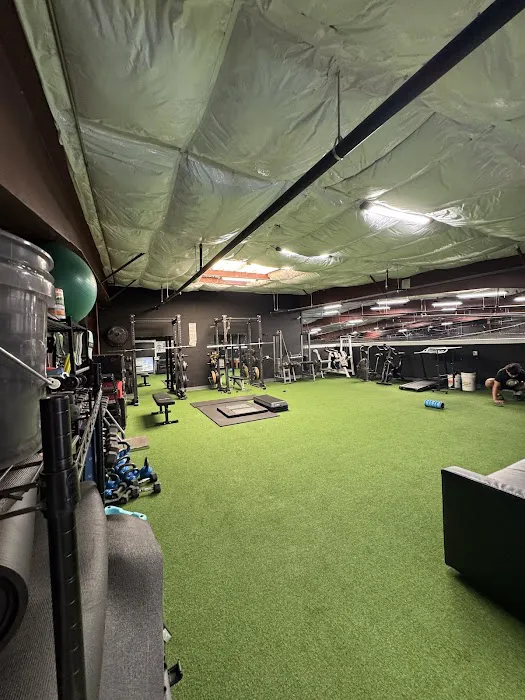 The Natural Ballplayer Picture 5