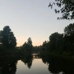 Thrive Community Fitness
