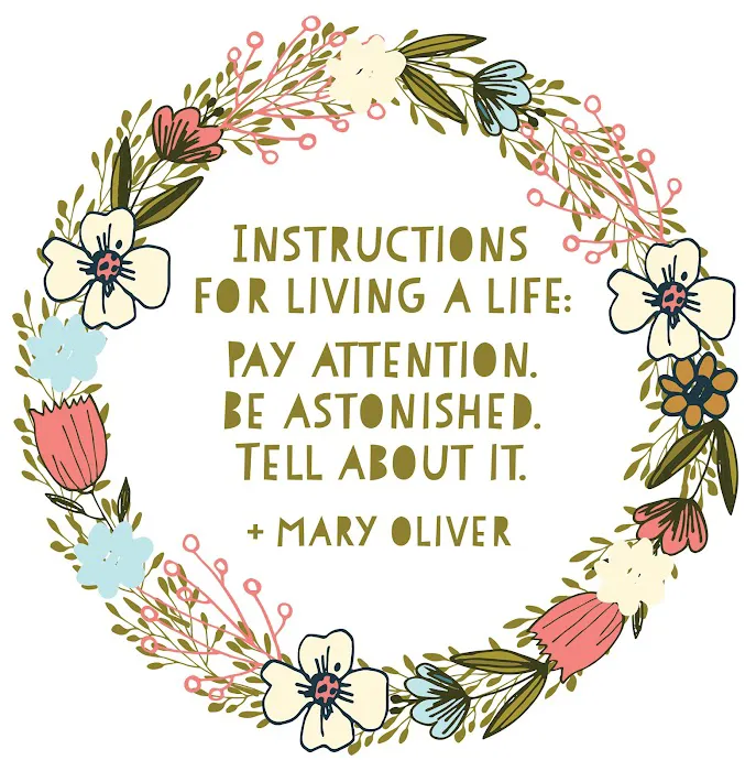 Yoga Garden Picture 2