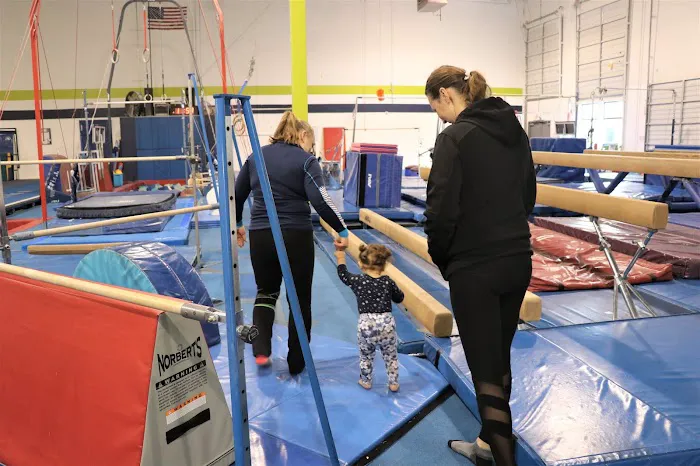 Alpha Gymnastics Picture 5